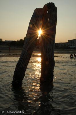 Holzpf�hle mit Abendsonne