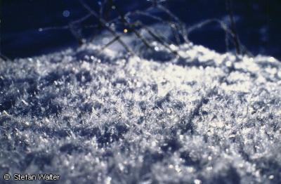 Januar - Eiskristalle