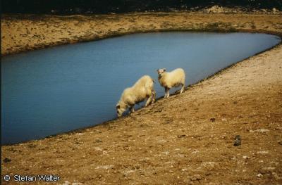 M�rz - Schwefelsee in der Krafla