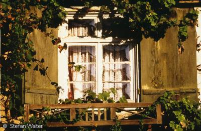 September - Fenster