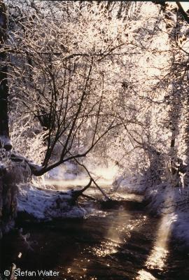 Dezember - Winterbach