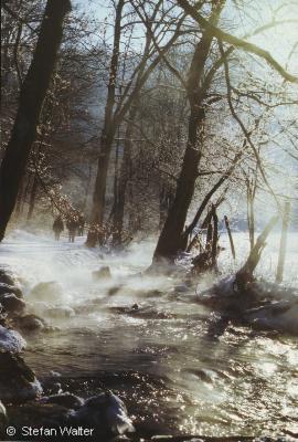 Titel - Winterausflug