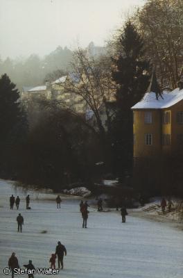 Februar - Spaziergang auf dem Neckar