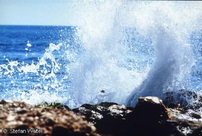 August - Wassergischt