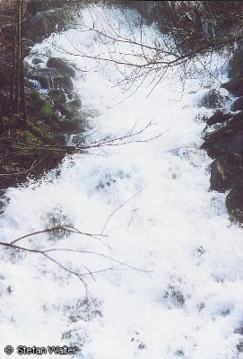 Februar - Die Wiesatz