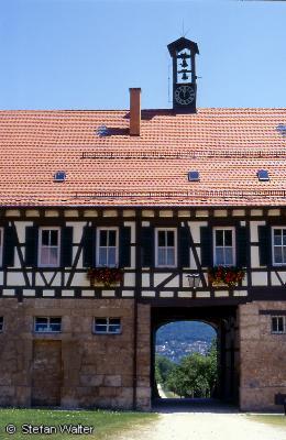 Mai - Gest�t G�terstein