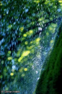 Juli - Wassertropfen