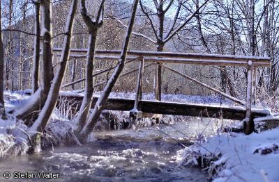 Januar - Br�cke an der Wiesatz
