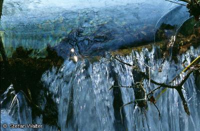 Februar - Bach am Uracher Wasserfall