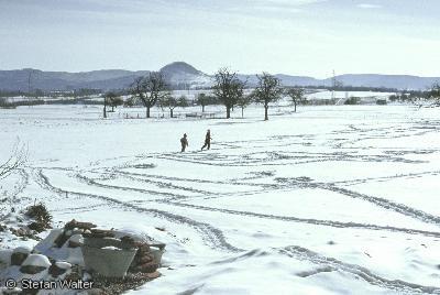 Januar - Winterwiesen
