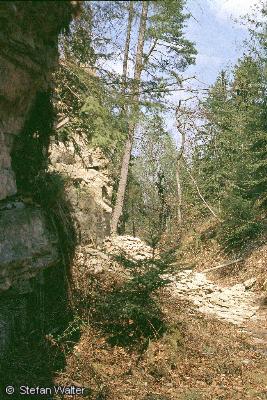 September - Steinbruch bei Wendelsheim