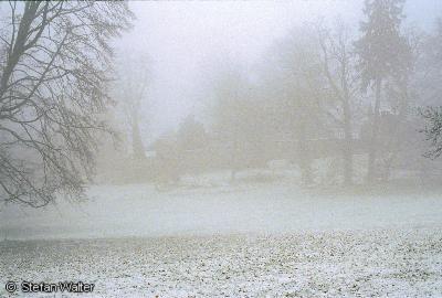 November - Nebellandschaft