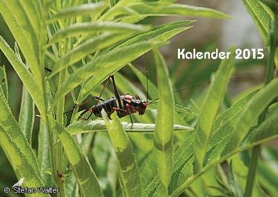 Titel -  Heuschrecke