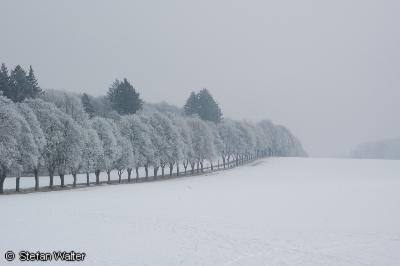 Januar - Winterallee bei St. Johann