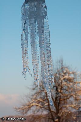 Februar - Eiszapfen