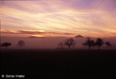 November - Sonnenaufgang mit Nebel